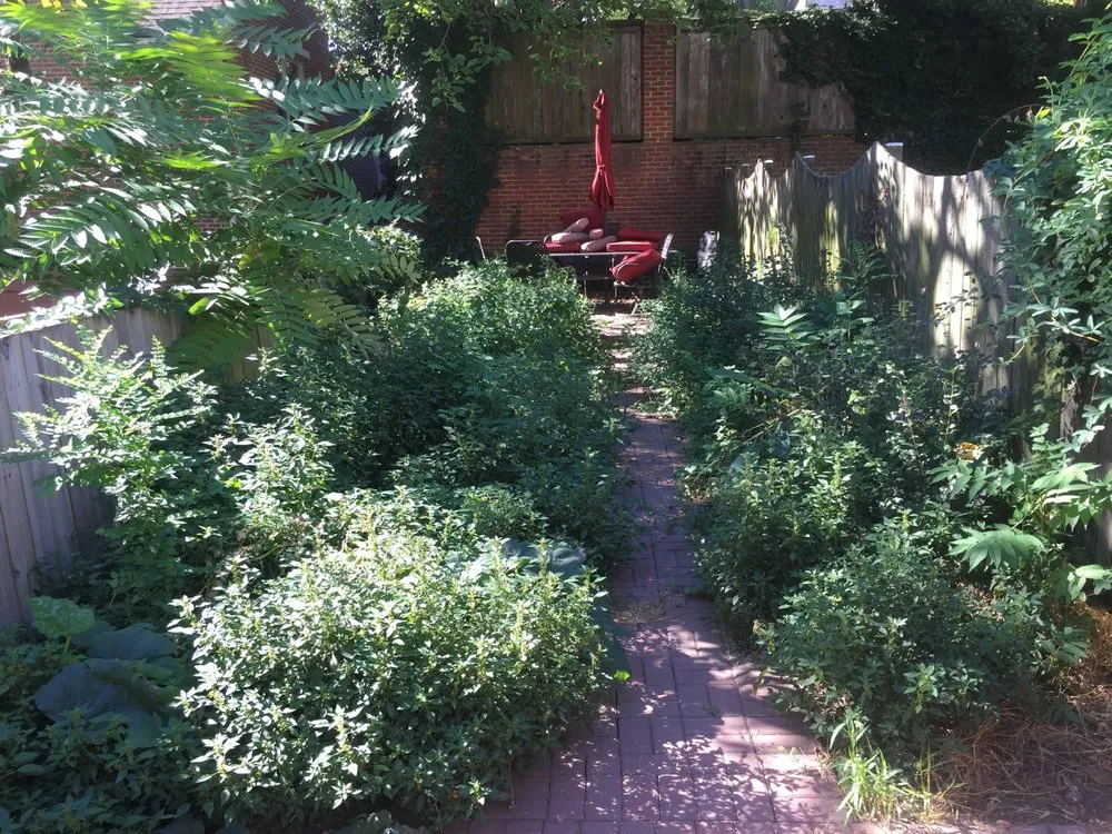 Top-rated landscaping services for beautiful yards in Alexandria, VA by Tactical Land Care