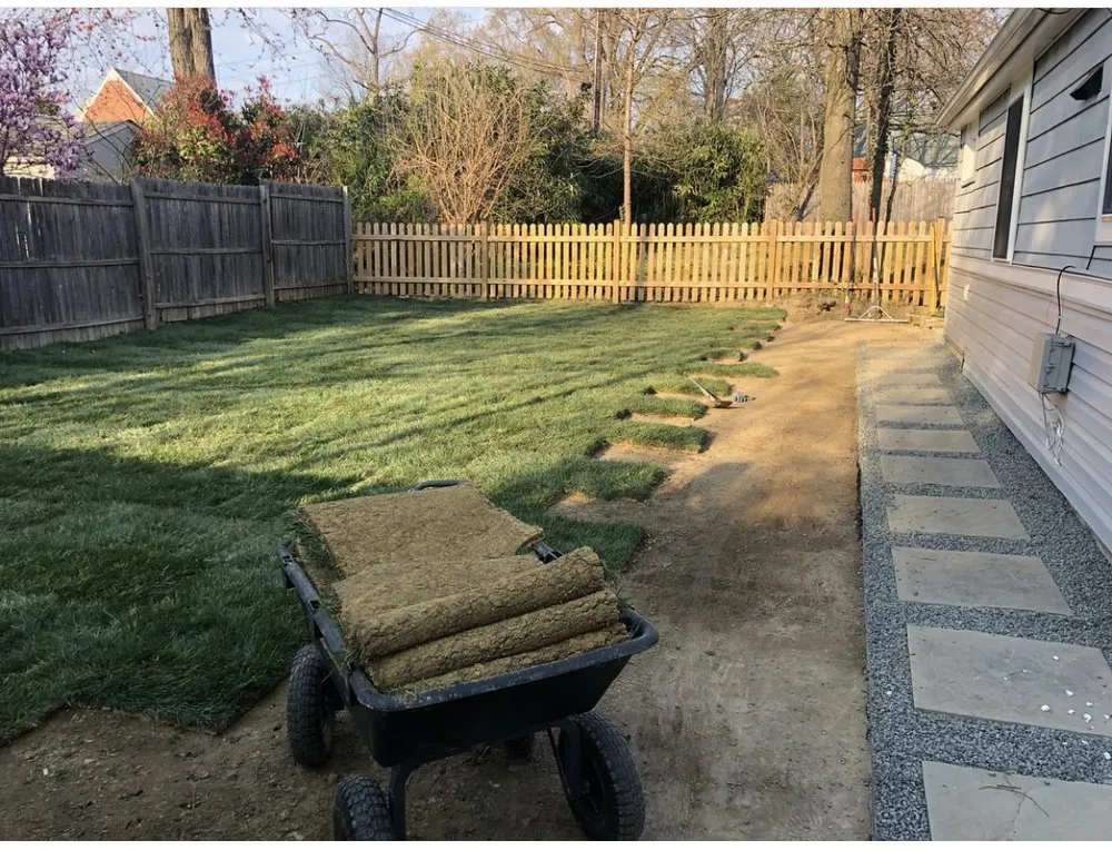 Trusted landscaping services for year-round maintenance in Alexandria, VA by Tactical Land Care