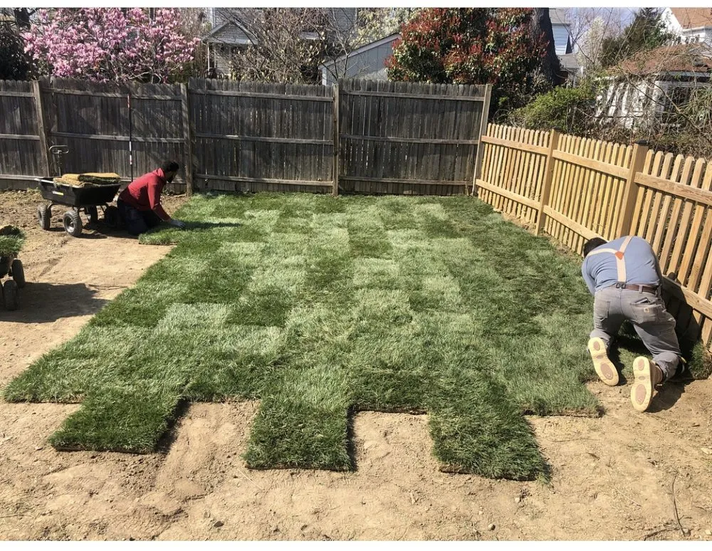 Affordable landscape design in Alexandria, VA by Tactical Land Care