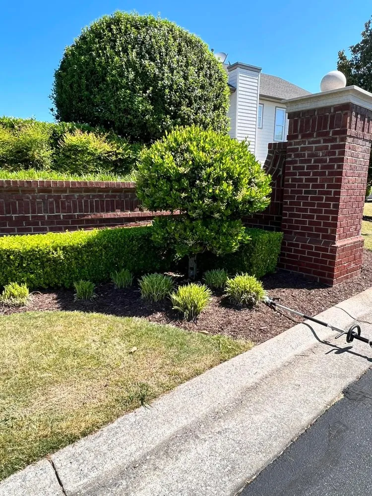 Local landscape installation in Virginia Beach, VA by Tactical Landscape Care