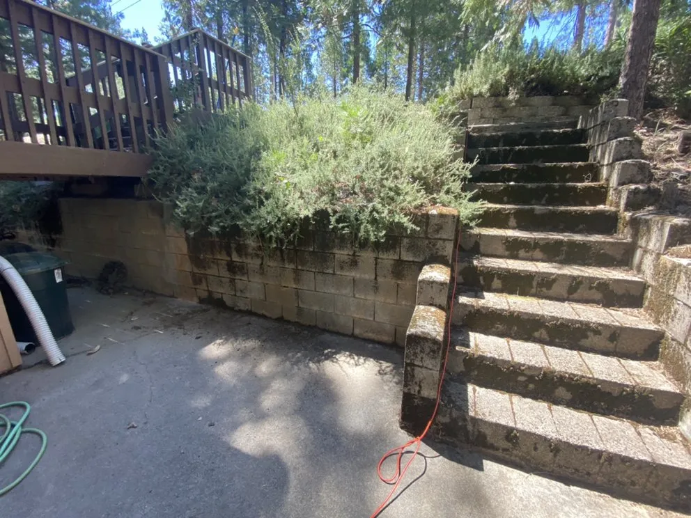 Custom yard cleanup service in Groveland, CA by Tactical Landscaping and Home Repair