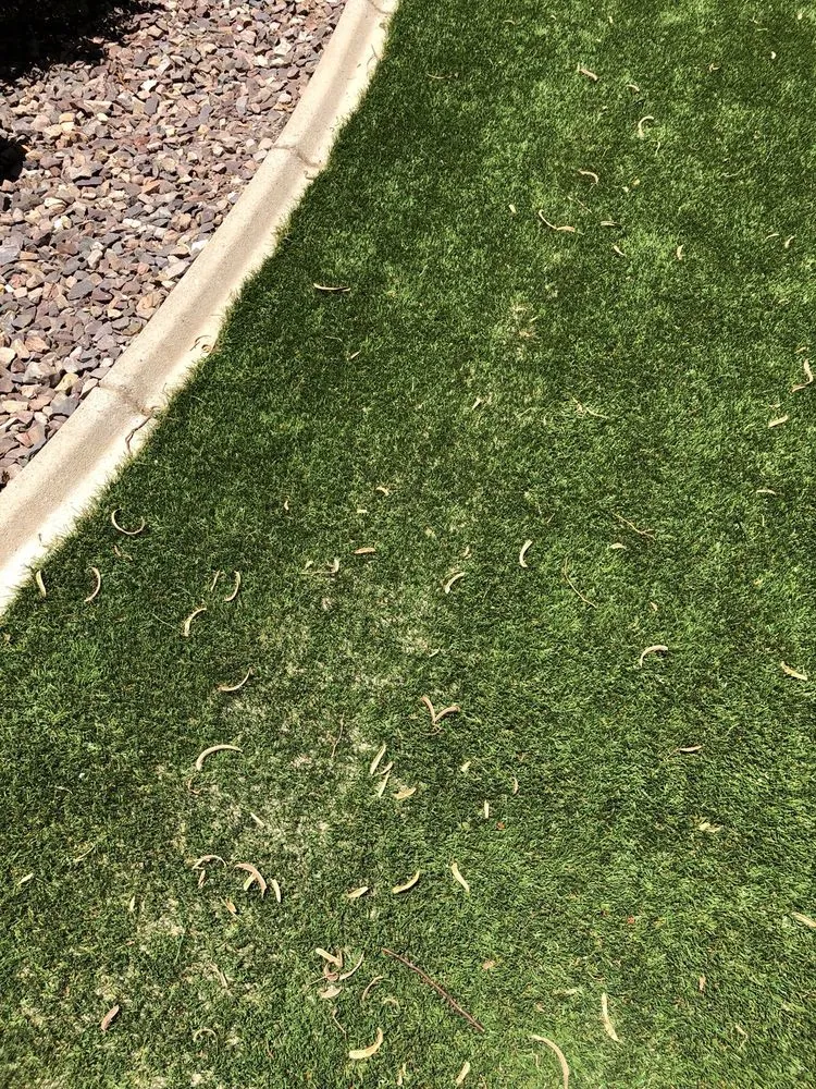 Top-rated yard maintenance in Queen Creek, AZ - Tactical Lanscape Management