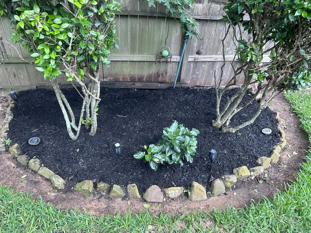 Custom yard cleanup service with custom design in Panorama Village, TX by Tactical Lawn Care