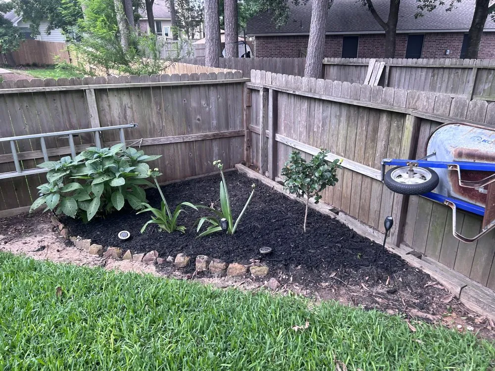 Top-rated yard cleanup service experts serving Panorama Village, TX - Tactical Lawn Care