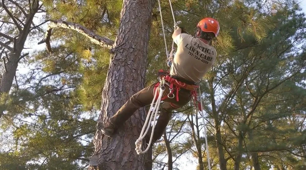 Affordable lawn mowing service near you in Portsmouth, VA by Tactical Lawn Care