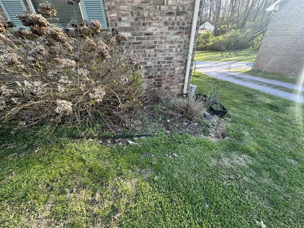 Top-rated landscape installation for outdoor upgrades in Murfreesboro, TN by Tactical Lawn Maintenance