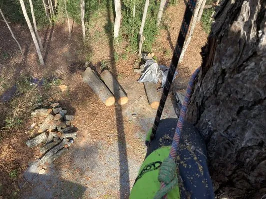 Tactical Lawn Solutions