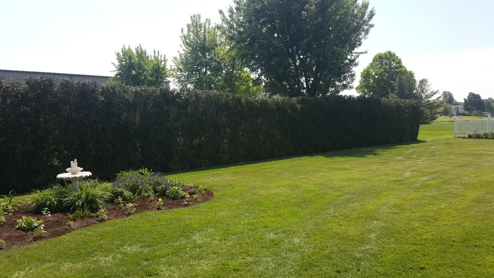 Reliable yard cleanup service near you across Poland, OH - Tactical Tree Care