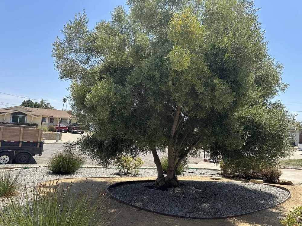 Reliable outdoor landscaping near you across Santa Maria, CA - Tactical Tree Cuts