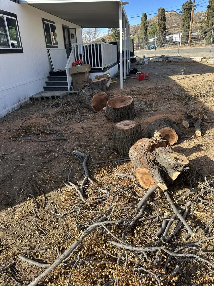 Affordable residential landscaping experts serving Santa Maria, CA - Tactical Tree Cuts