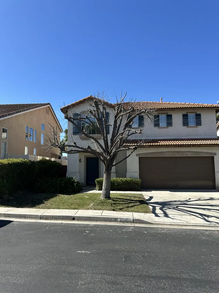 Expert landscape installation in Santa Maria, CA - Tactical Tree Cuts