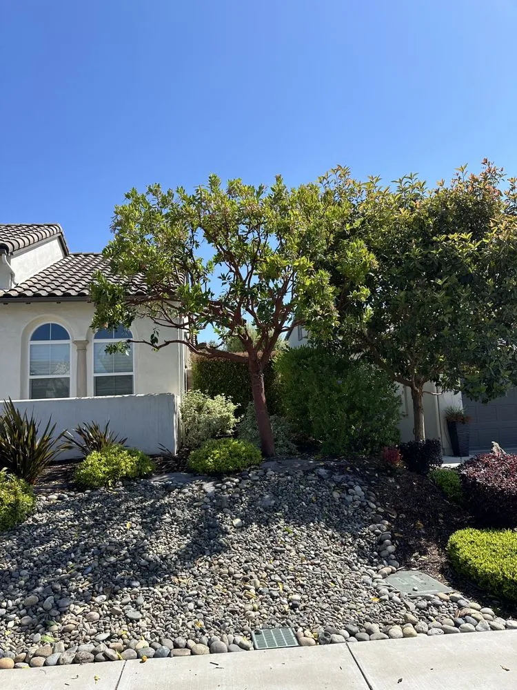 Trusted lawn mowing service in Santa Maria, CA - Tactical Tree Cuts