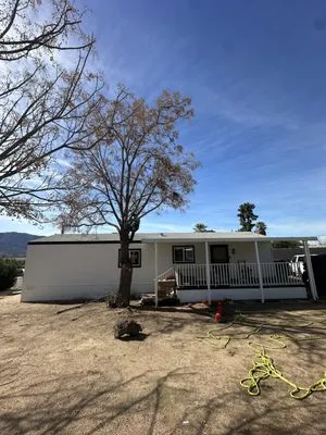 Tactical Tree Cuts Logo