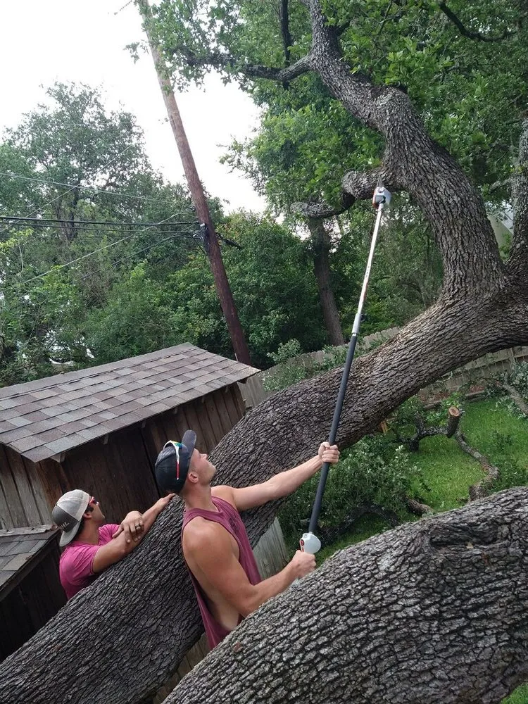 Custom yard cleanup service for residential properties in San Antonio, TX by Tactical Tree Service