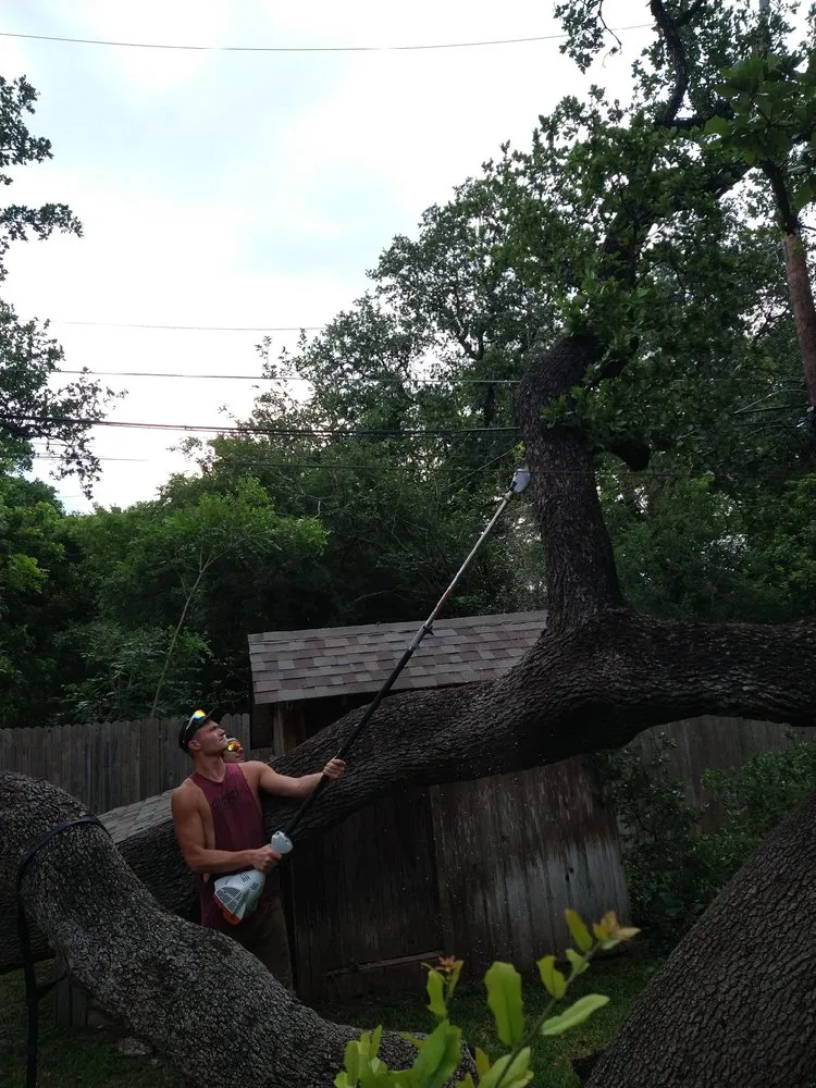 Local landscaping services experts serving San Antonio, TX - Tactical Tree Service