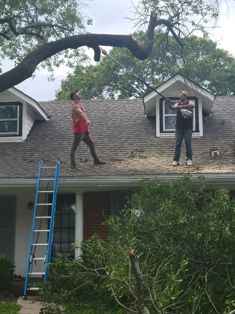 Reliable lawn mowing service for outdoor upgrades across San Antonio, TX - Tactical Tree Service