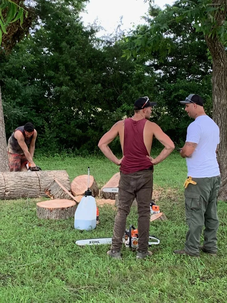 Trusted landscape design for residential properties in San Antonio, TX by Tactical Tree Service