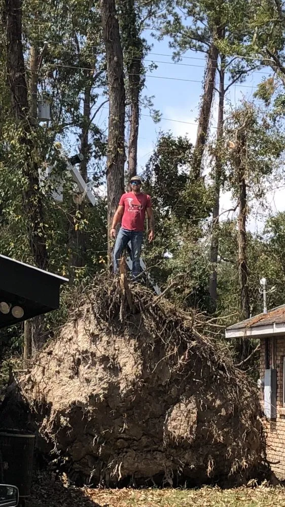 Local landscape installation in San Antonio, TX by Tactical Tree Service
