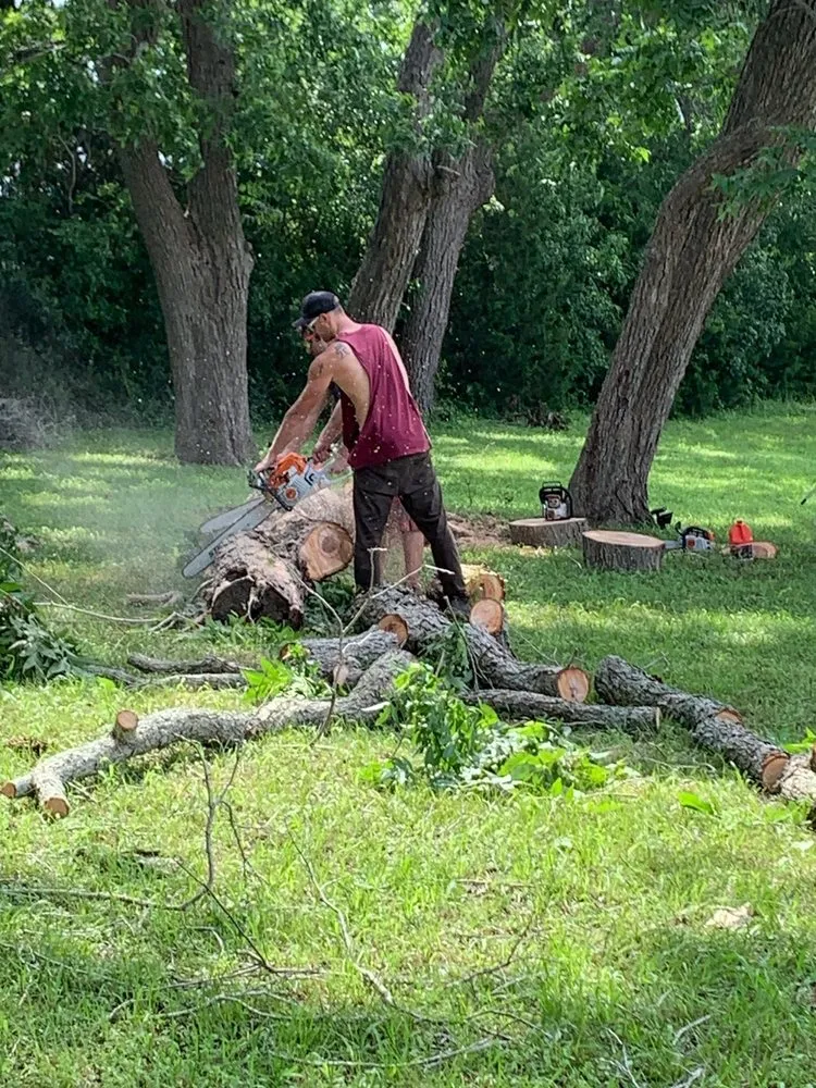 Expert landscape design experts serving San Antonio, TX - Tactical Tree Service