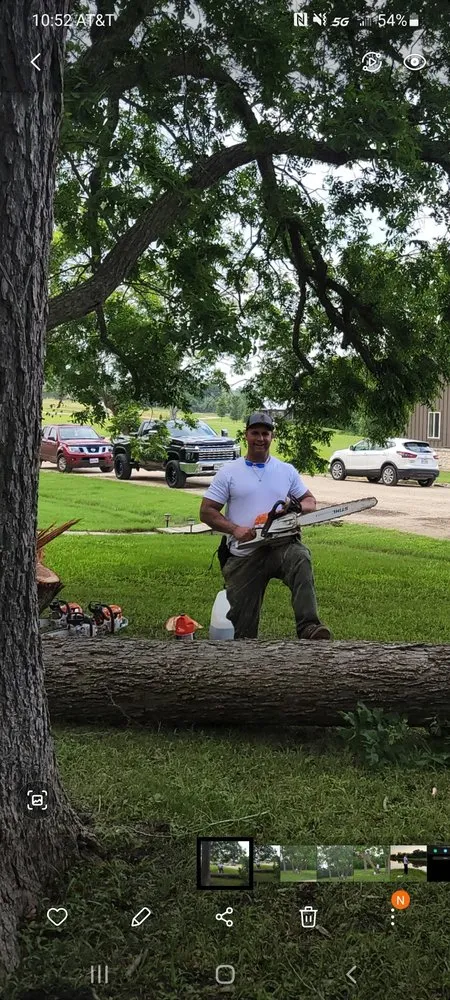 Trusted yard cleanup service in San Antonio, TX - Tactical Tree Service
