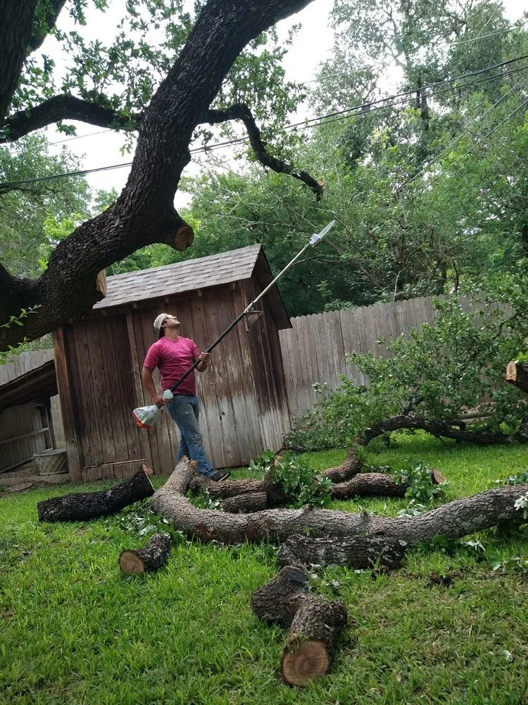 Expert landscape installation experts serving San Antonio, TX - Tactical Tree Service