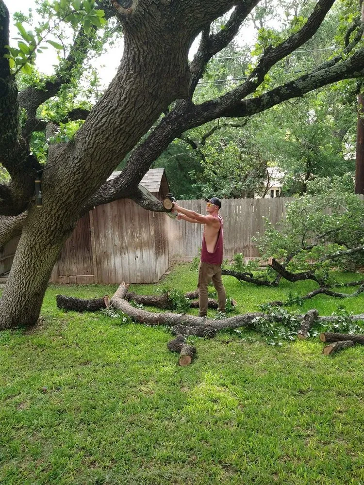 Affordable landscape installation for outdoor upgrades in San Antonio, TX by Tactical Tree Service