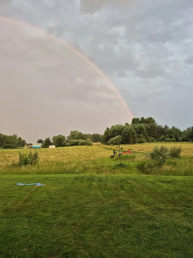 Affordable yard cleanup service experts serving Vestal, NY - Tactical Tree Snow And Landscaping Services