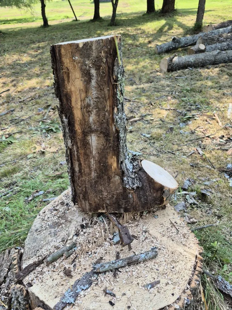 Professional landscape installation for residential properties in Vestal, NY by Tactical Tree Snow And Landscaping Services