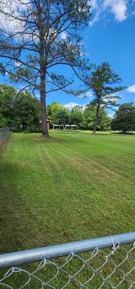 Top-rated landscape design near you across Fortson, GA - Tactical Turf lawn care