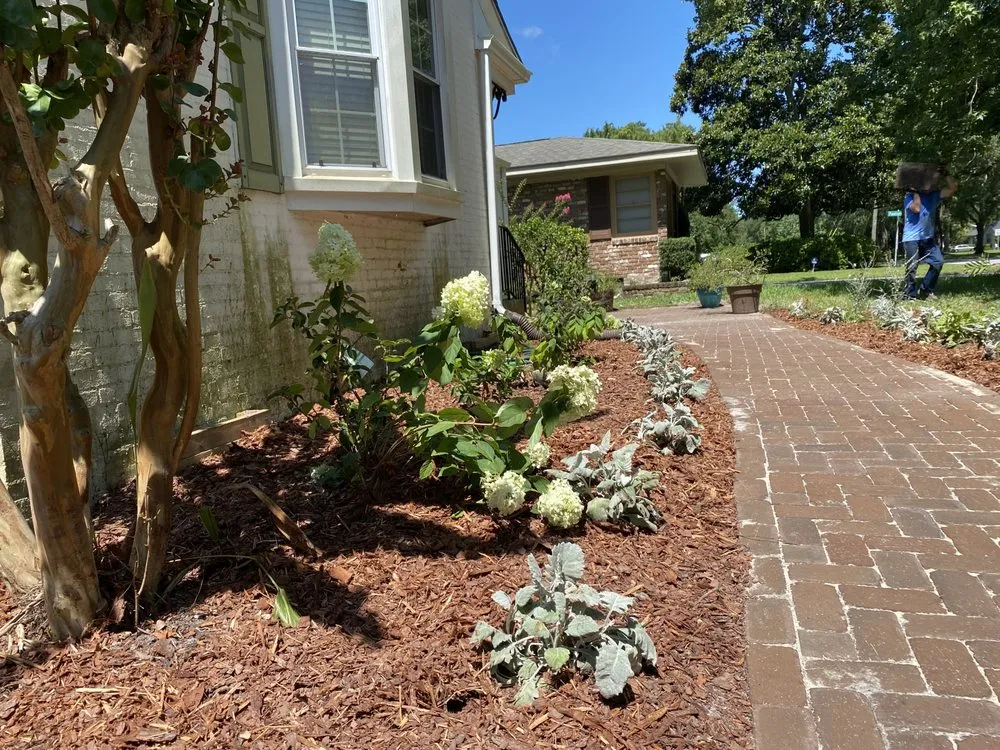 Custom lawn care service near you in Metter, GA by Tactical Turf Team