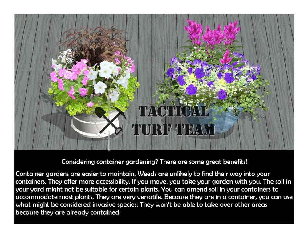 Trusted lawn mowing service in Metter, GA - Tactical Turf Team