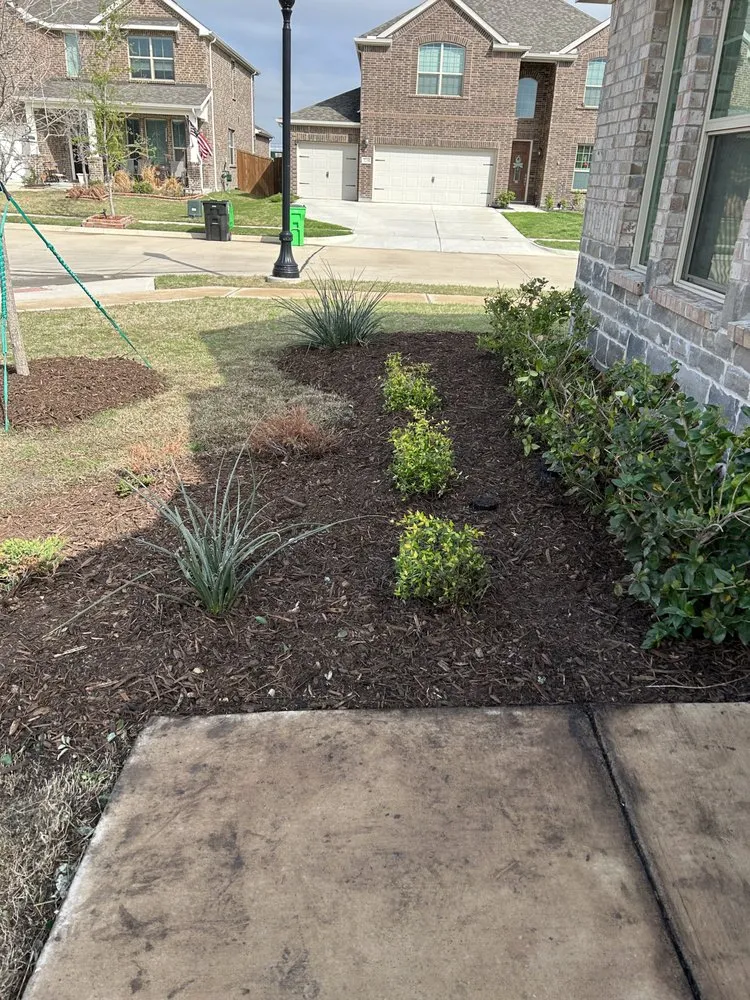 Custom landscaping services for homes across Aubrey, TX - Tacticool lawn service