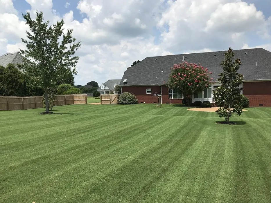 Top-rated yard cleanup service in Bolivar, TN by Taddy Lawn Care
