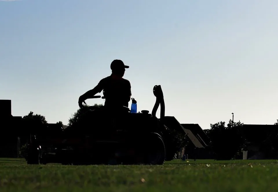 Affordable landscape design for year-round maintenance across Bolivar, TN - Taddy Lawn Care