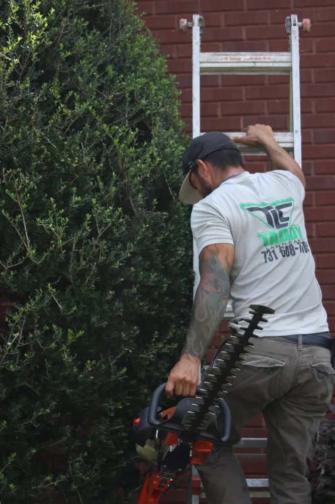 Trusted landscape design for homes in Bolivar, TN by Taddy Lawn Care