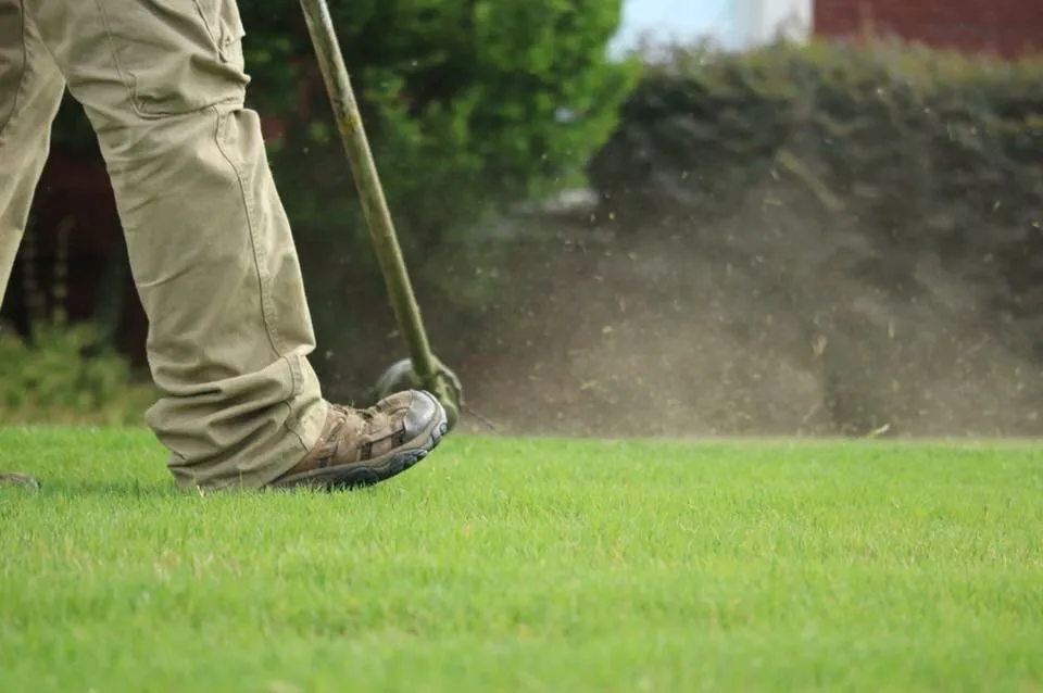 Top-rated yard cleanup service for year-round maintenance across Bolivar, TN - Taddy Lawn Care