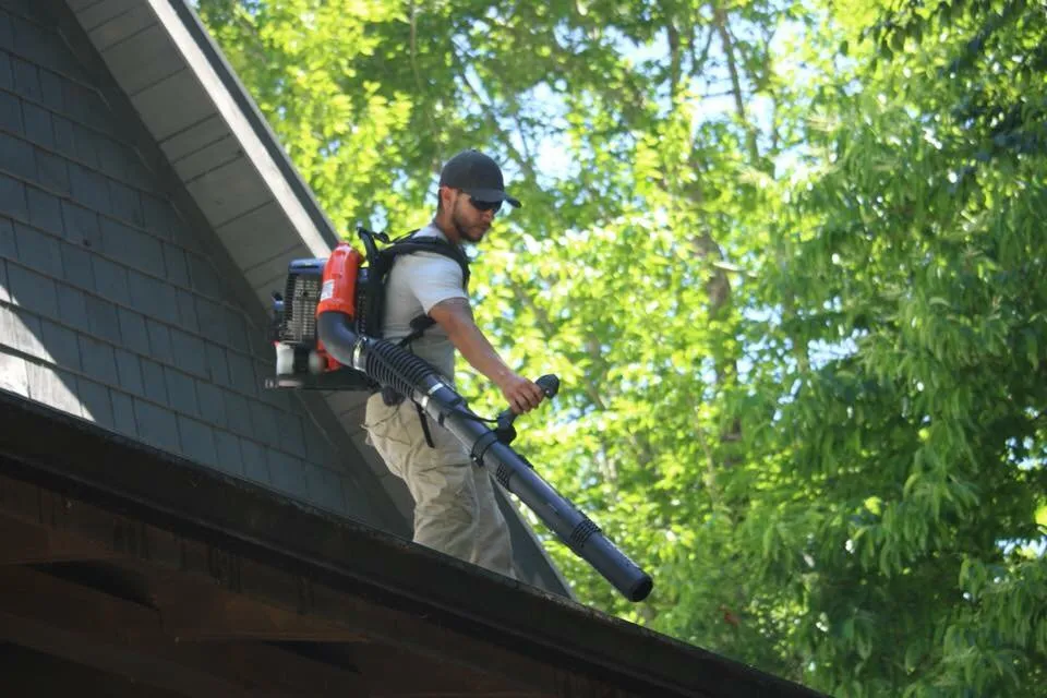 Affordable landscape installation experts serving Bolivar, TN - Taddy Lawn Care