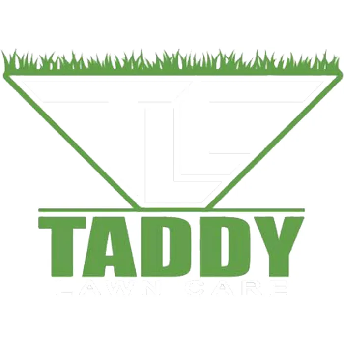 Custom lawn care service in Bolivar, TN - Taddy Lawn Care