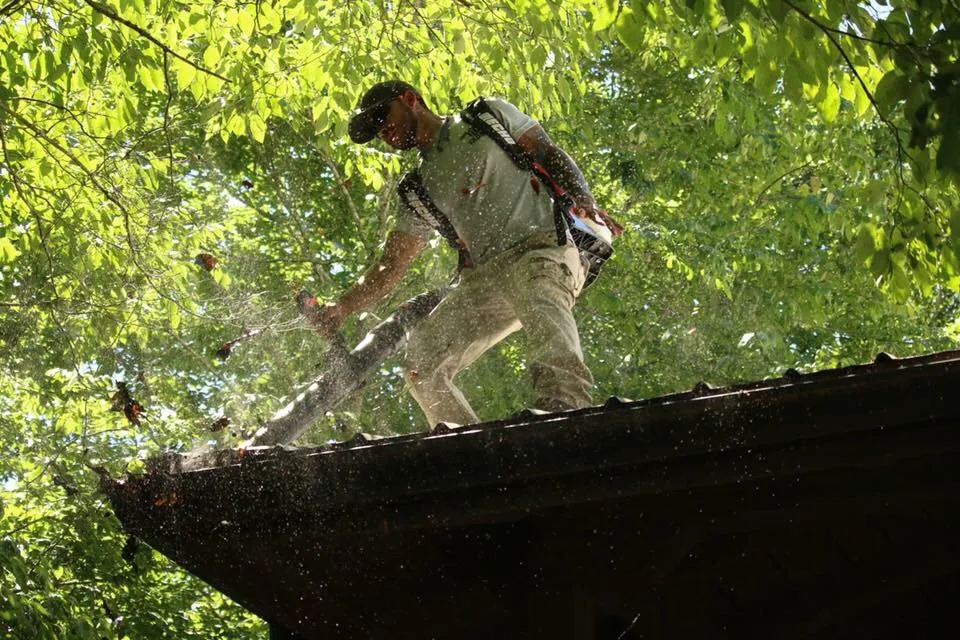 Top-rated garden landscaping for residential properties across Bolivar, TN - Taddy Lawn Care