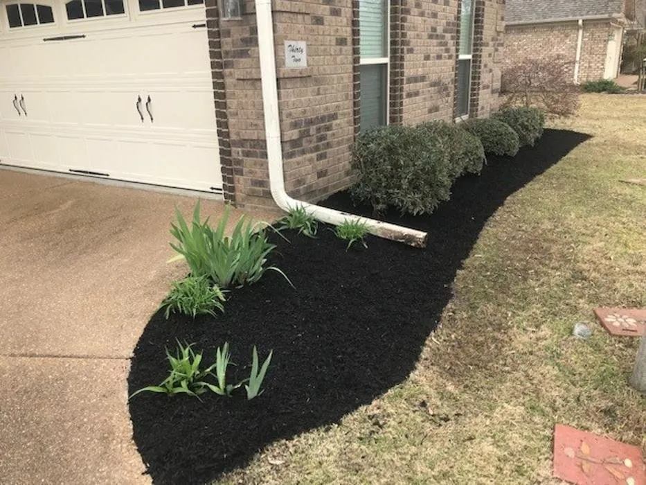 Top-rated landscaping services in Bolivar, TN by Taddy Lawn Care