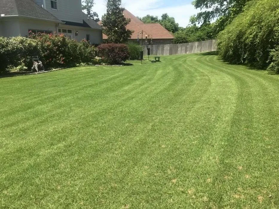 Expert outdoor landscaping in Bolivar, TN by Taddy Lawn Care
