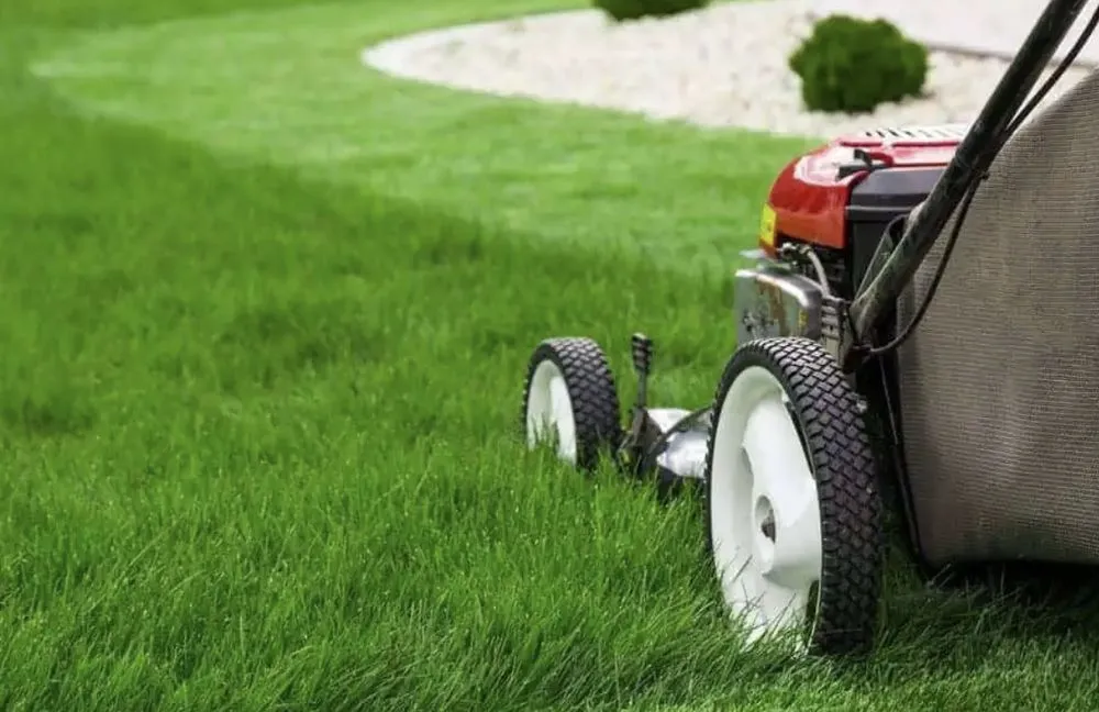 Affordable landscape design for year-round maintenance across Altoona, PA - Taddy's Cutting Edge Lawn Care & Service