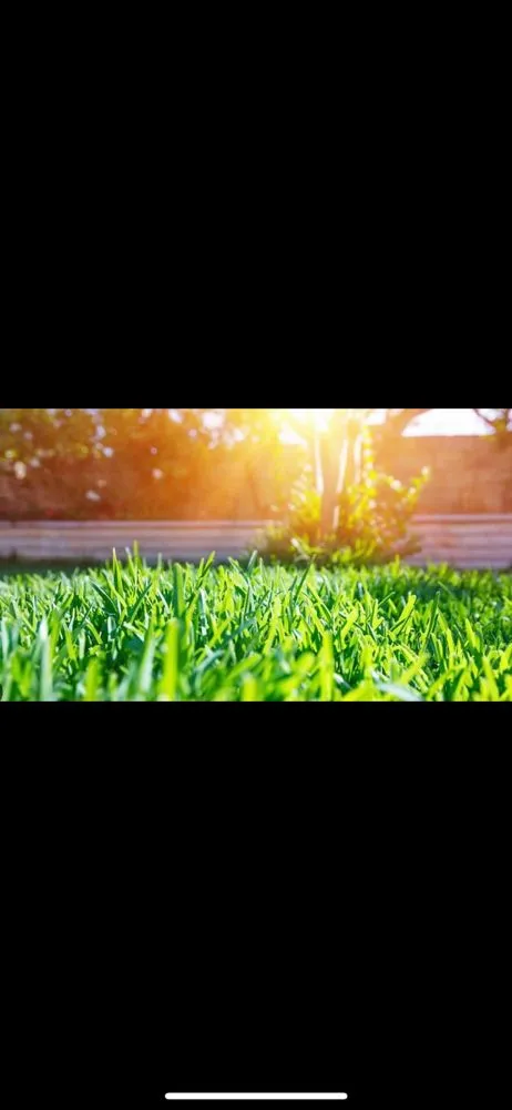 Local landscape installation in Altoona, PA - Taddy's Cutting Edge Lawn Care & Service