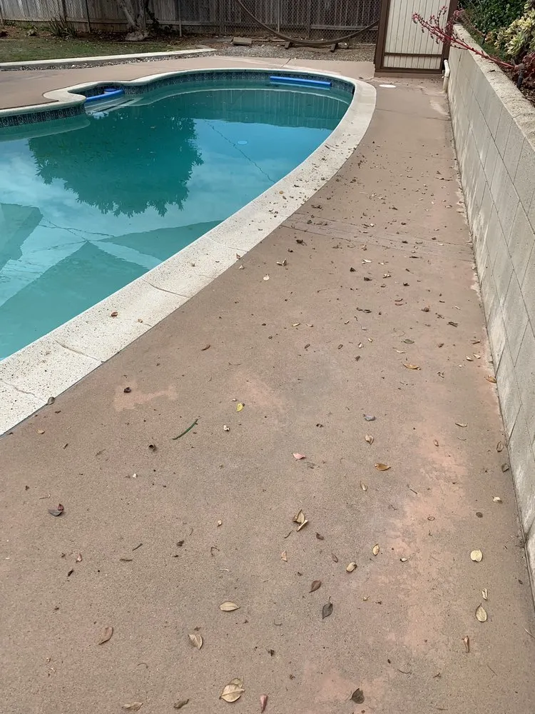 Professional landscaping services for year-round maintenance in La Habra, CA by Tadeo's Gardening Service