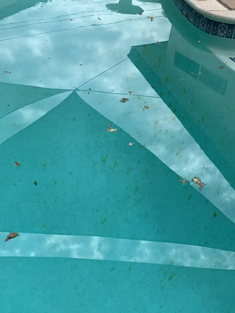 Trusted landscape installation in La Habra, CA by Tadeo's Gardening Service