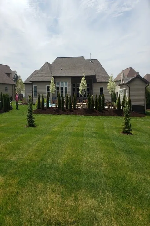 Expert landscaping services experts serving Beecher, IL - Tadpole's Aquascapes & Landscaping