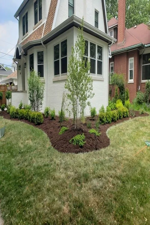 Trusted yard maintenance in Beecher, IL by Tadpole's Aquascapes & Landscaping