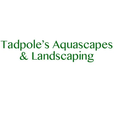 Expert outdoor landscaping for homes in Beecher, IL by Tadpole's Aquascapes & Landscaping