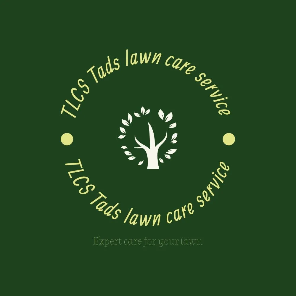 Professional yard maintenance experts serving Newnan, GA - Tads lawn service