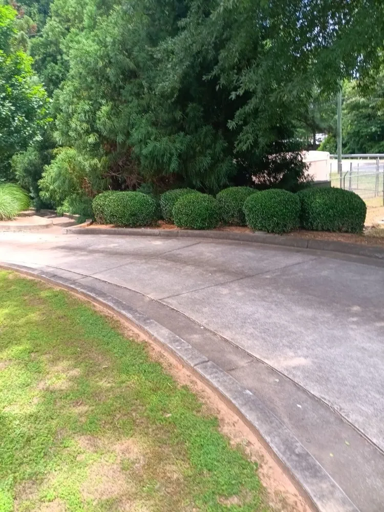 Trusted residential landscaping experts serving Newnan, GA - Tads lawn service